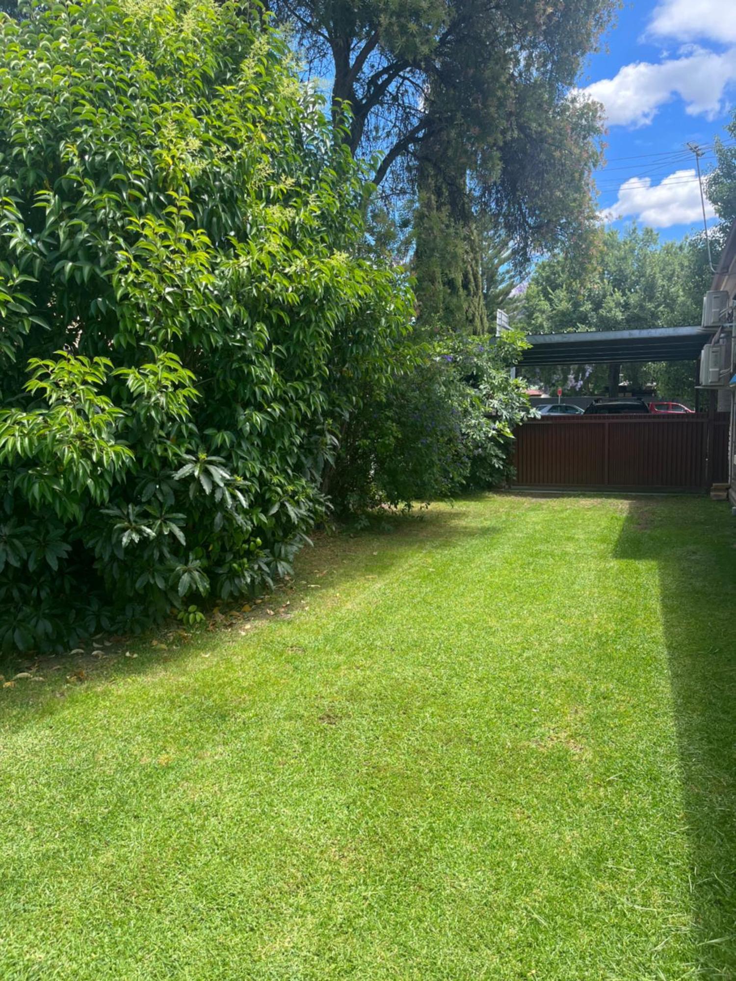 Somerby! Modern Character Property! Cbd,Pets,Park Άλμπουρι Εξωτερικό φωτογραφία